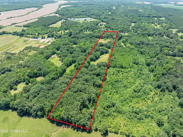 6869 Compress Rd # F, Como, MS 38619 - aerial view of property's location with a heavily wooded area and property boundaries highlighted