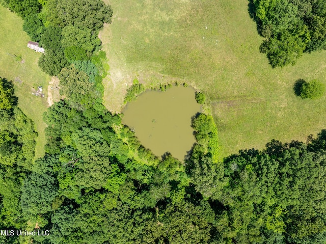 6869 Compress Rd # F, Como, MS 38619 - aerial view of a large body of water