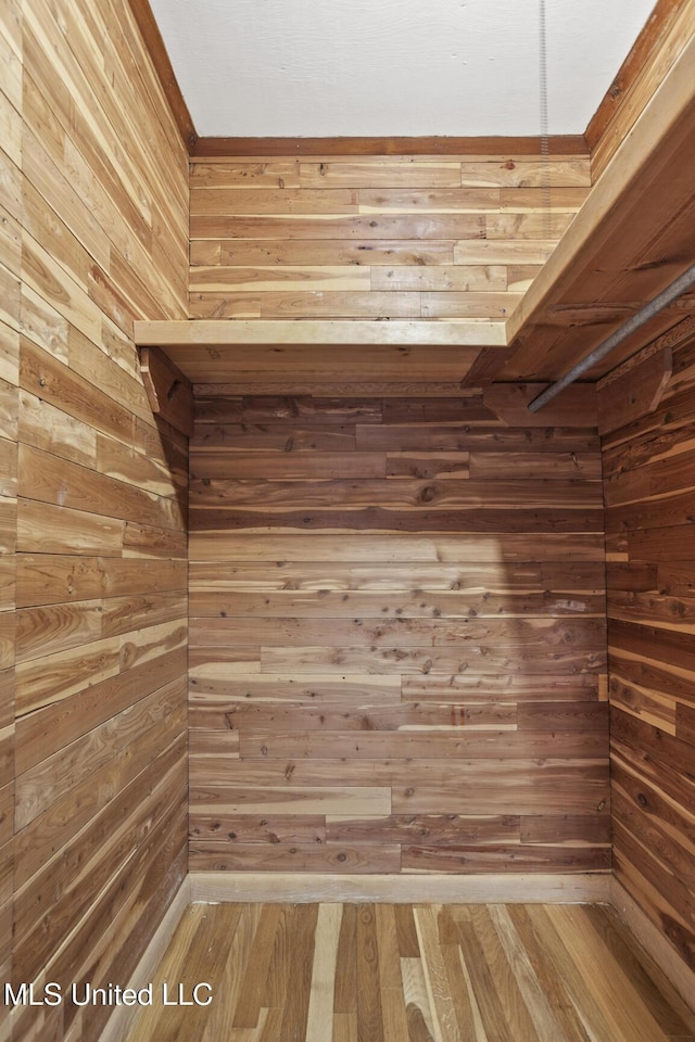 spacious closet featuring wood finished floors