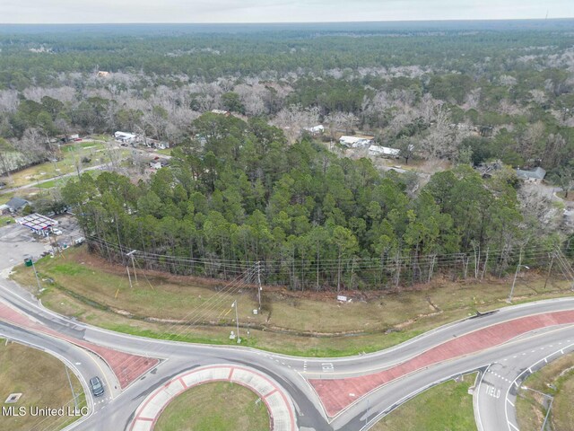 14272 N Lamey Bridge Rd, Diberville, MS 39540