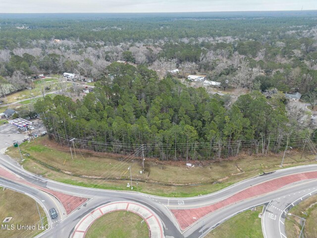 14272 N Lamey Bridge Rd, Diberville MS, 39540 land for sale