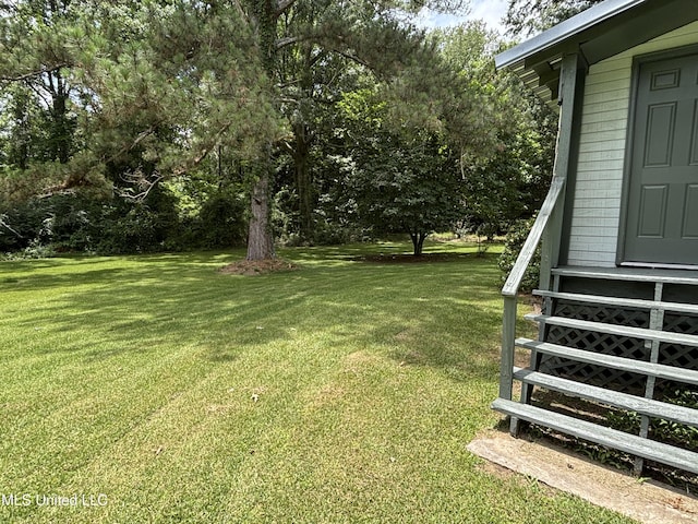 873 SCR 142, Morton, MS 39117 - view of grassy yard