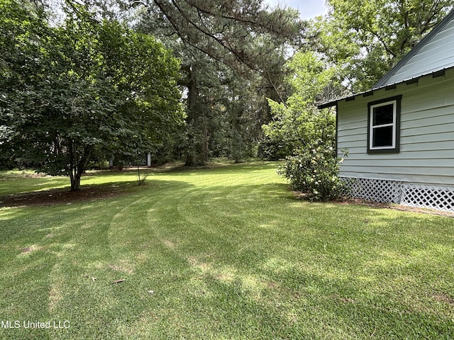 873 SCR 142, Morton, MS 39117 - view of grassy yard