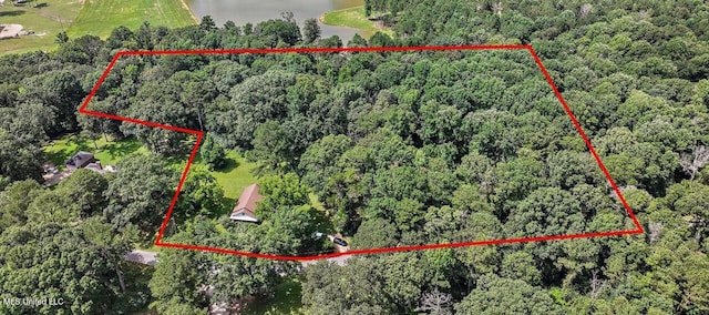 873 SCR 142, Morton, MS 39117 - aerial view of property's location featuring property parcel outlined and a nearby body of water