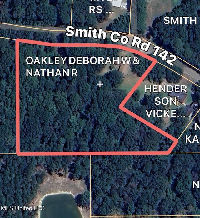 873 SCR 142, Morton, MS 39117 - map / location with property boundaries highlighted