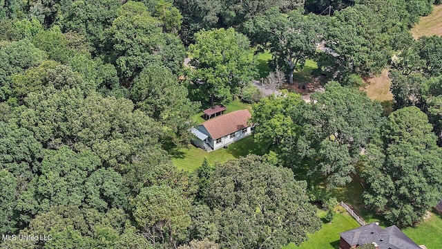 873 SCR 142, Morton, MS 39117 - aerial overview of property's location with a forest