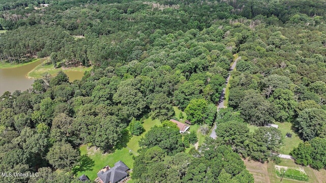 873 SCR 142, Morton, MS 39117 - aerial overview of property's location featuring a forest and a large body of water