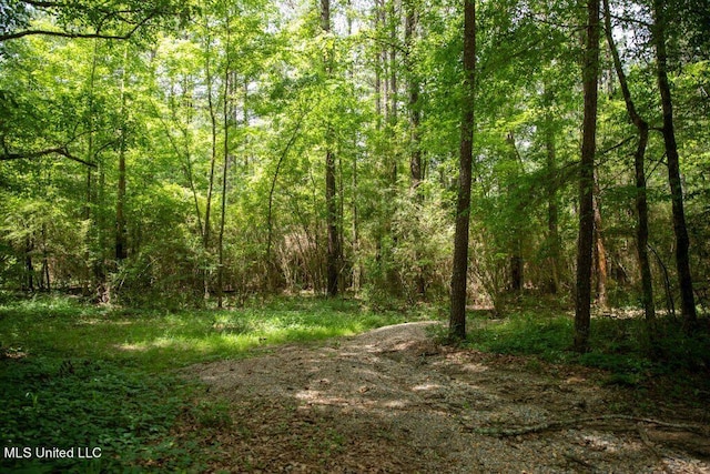 Ashley Rd, Puckett MS, 39042 land for sale