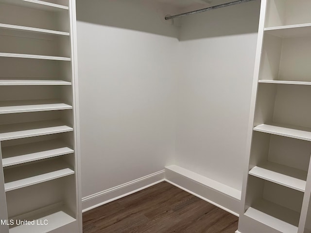 walk in closet featuring dark hardwood / wood-style flooring