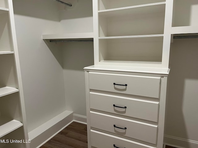 walk in closet featuring dark hardwood / wood-style flooring