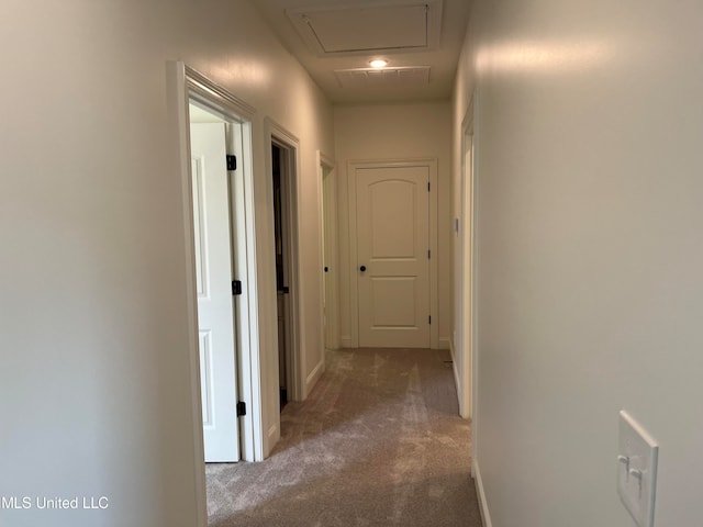 hallway featuring carpet