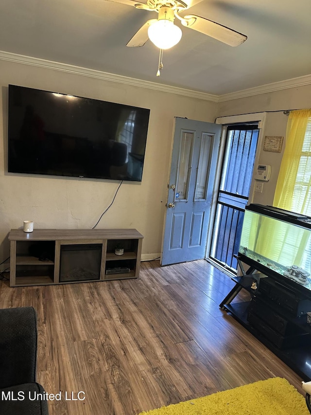 living room featuring ceiling fan, ornamental molding, and hardwood / wood-style floors