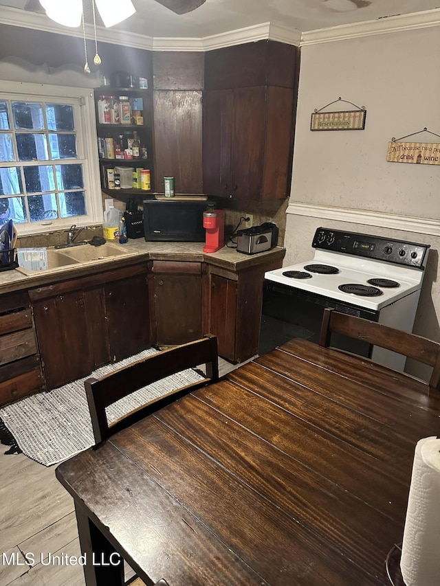 kitchen featuring ornamental molding, range with electric stovetop, dark brown cabinets, and light hardwood / wood-style flooring