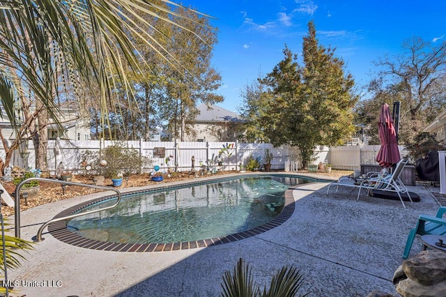 view of swimming pool with a patio area