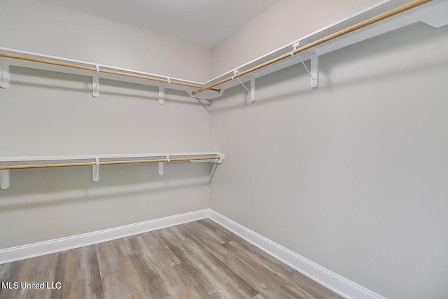 spacious closet featuring hardwood / wood-style floors