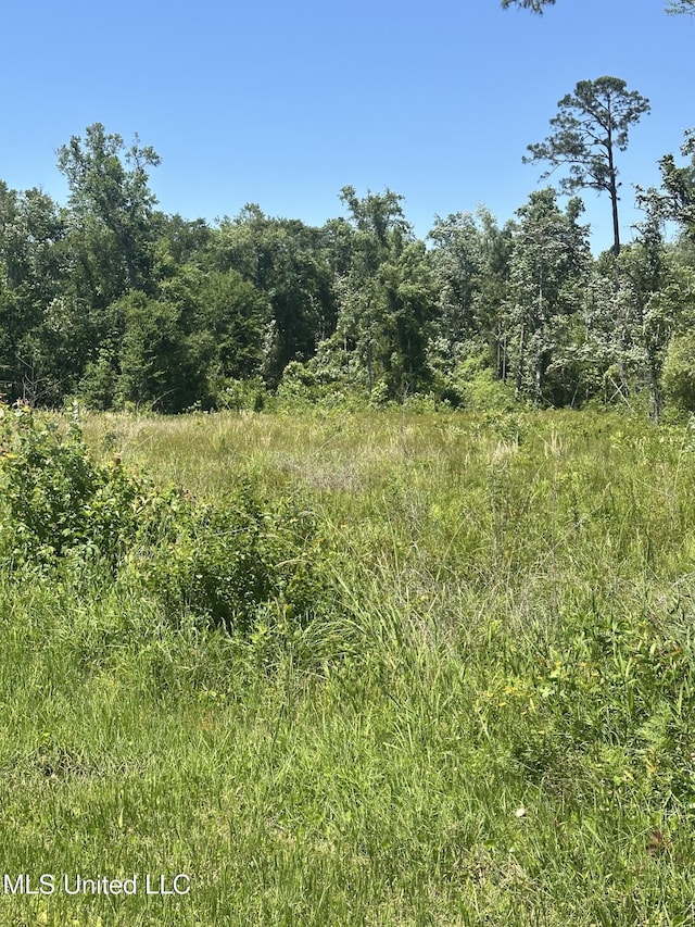 0 Nicholson Ave, Waveland, MS 39576