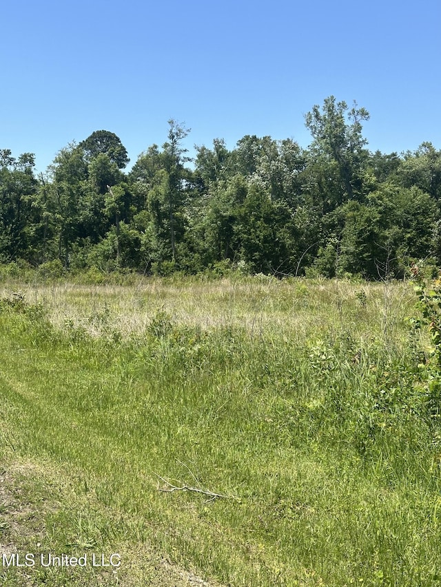 0 Nicholson Ave, Waveland, MS 39576