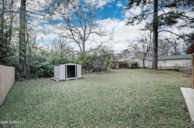 view of yard with a shed