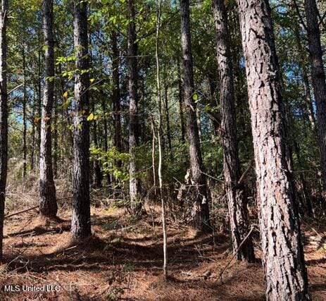 Listing photo 2 for Bolen Long Creek Rd, Meridian MS 39301