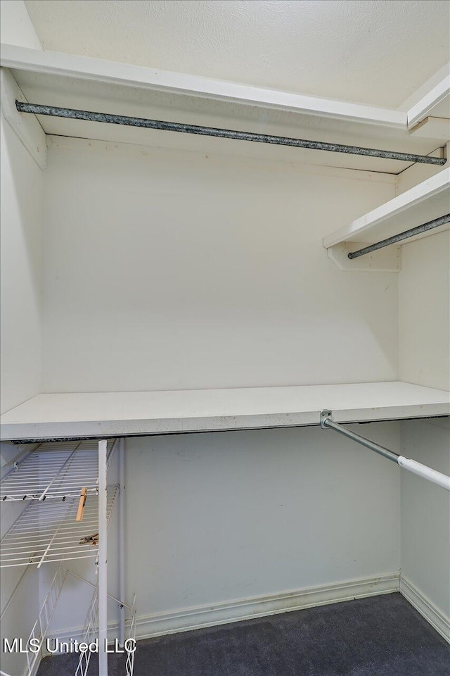 634 Twin Harbor Pl, Madison, MS 39110 - view of spacious closet