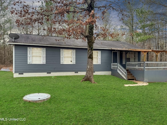 back of house featuring a lawn