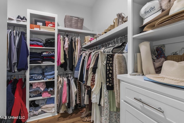 spacious closet featuring hardwood / wood-style flooring