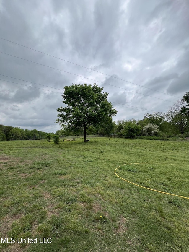 view of yard with a rural view