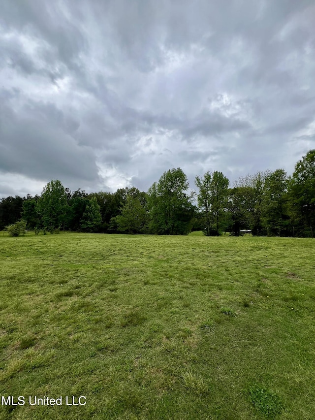 view of local wilderness with a wooded view and a rural view