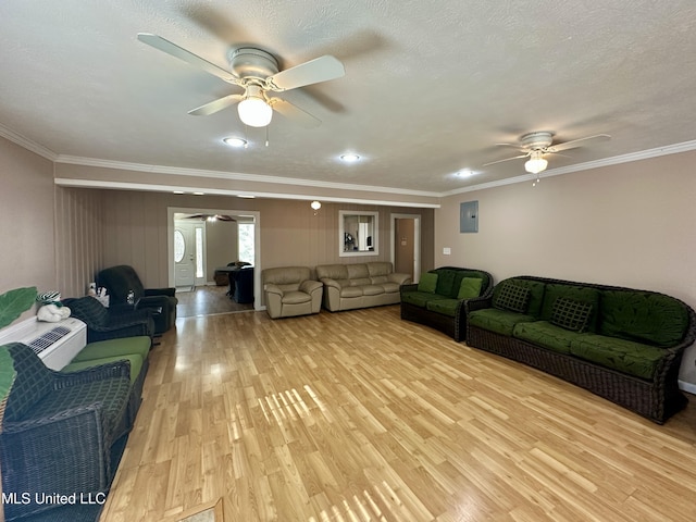 living room featuring a textured ceiling, ornamental molding, ceiling fan, and light hardwood / wood-style flooring