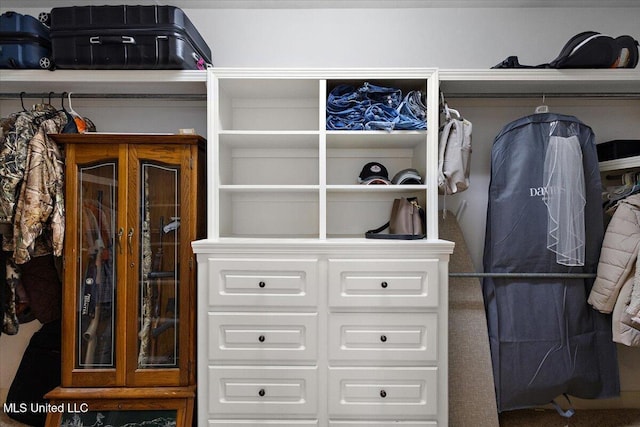 view of spacious closet