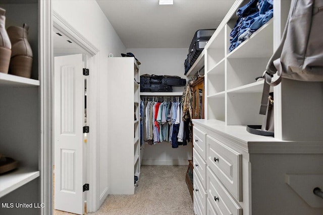 view of walk in closet