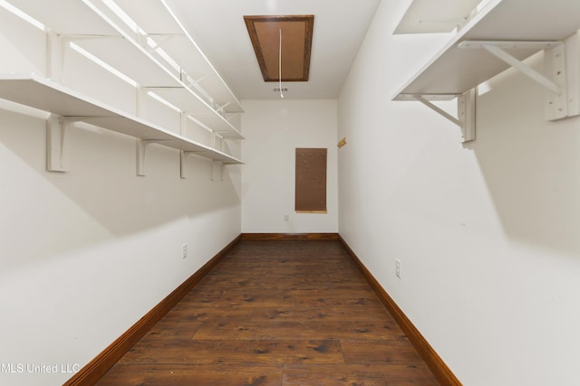walk in closet with attic access and dark wood finished floors