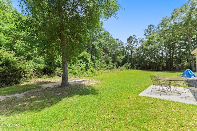 view of grassy yard with a patio