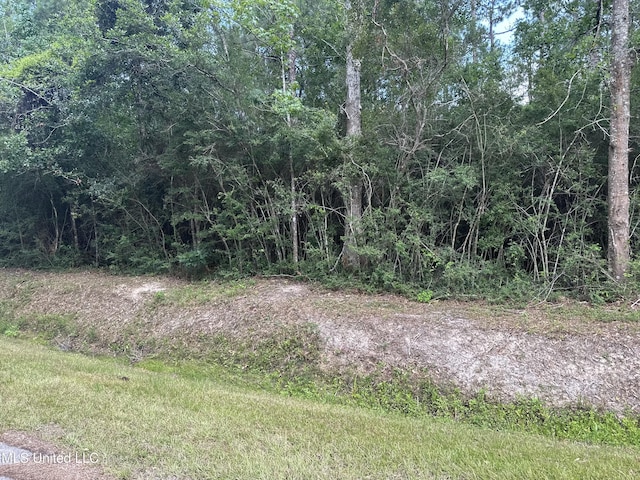 Jacksonville Dr, Pearlington, MS 39572