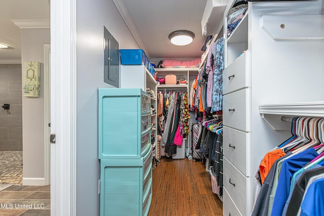 walk in closet featuring electric panel and wood finished floors