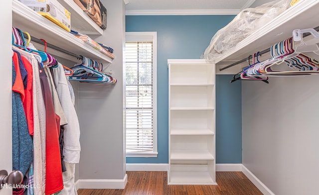 spacious closet featuring wood finished floors