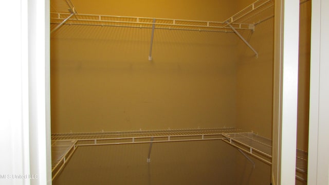 view of walk in closet