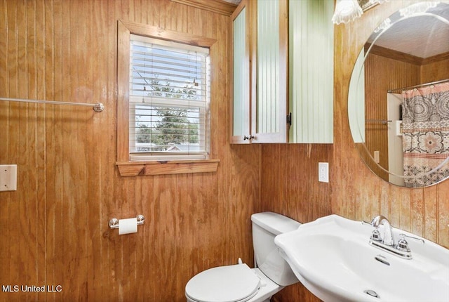 bathroom with toilet, wooden walls, and sink