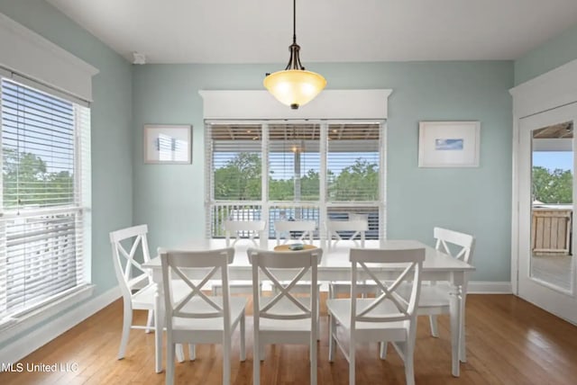 dining space featuring a healthy amount of sunlight and wood-type flooring