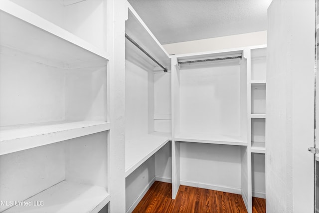 walk in closet featuring wood finished floors