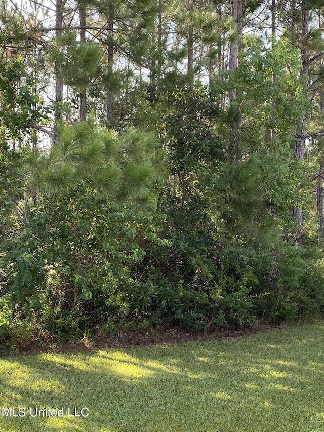 Ocean Springs Rd, Ocean Springs, MS 39564