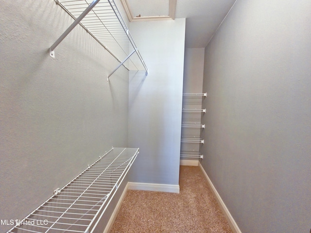 64 Oak Alley Ln, Long Beach, MS 39560 - walk in closet with carpet floors