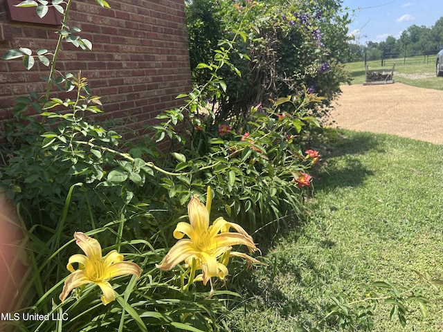 380 Green Acres Dr, Canton, MS 39046 - view of yard