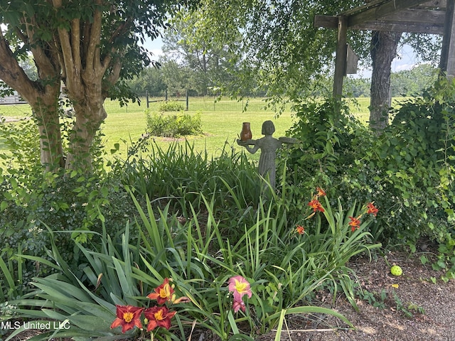380 Green Acres Dr, Canton, MS 39046 - view of grassy yard