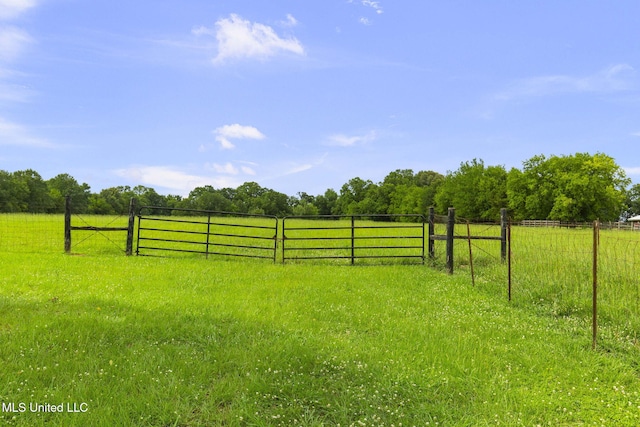 380 Green Acres Dr, Canton, MS 39046 - view of yard with a rural view