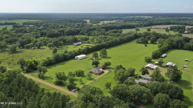 380 Green Acres Dr, Canton, MS 39046 - view of rural area featuring a pastoral area