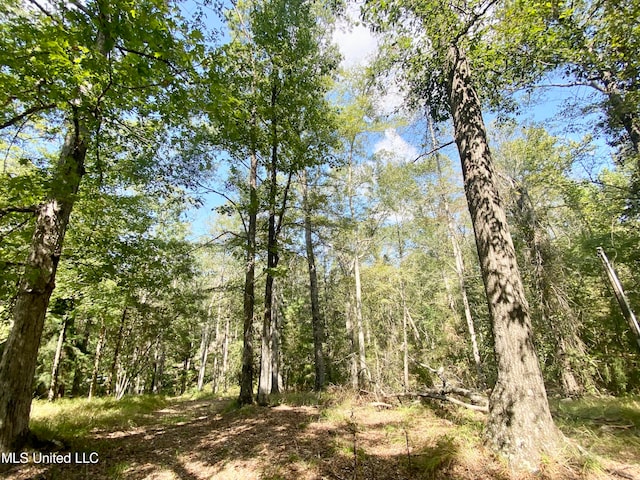 view of local wilderness