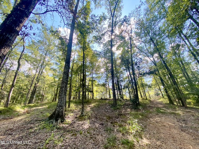 view of landscape