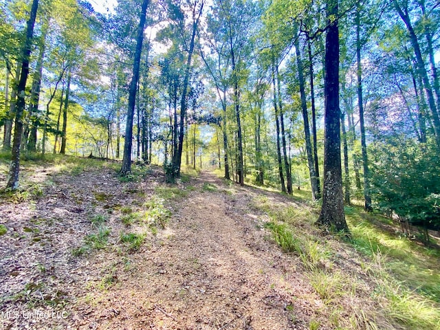 view of local wilderness