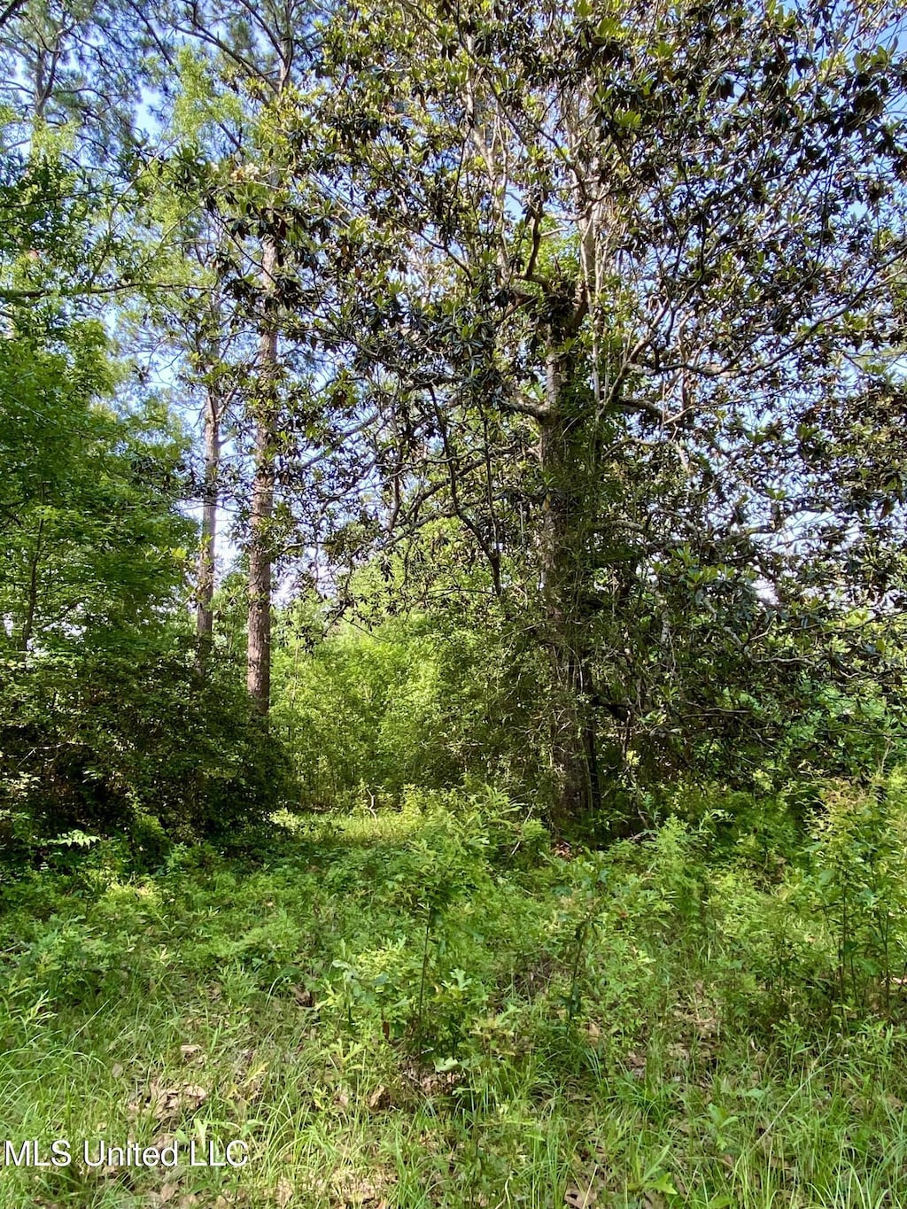 1396 Neal Rd, Picayune, MS 39466